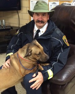 fea26408-4566-456e-b193-a56163265ff8