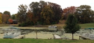 7907d48c-35ed-48f9-ad40-1da318c57277